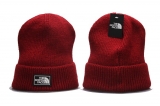 2023.7 The North Face Beanies-YP (4)