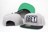 2023.7  OBEY Snapbacks Hats-YP (3)