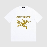 2023.7 Arcteryx short T man S-XL (99)