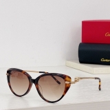 2023.7 Cartier Sunglasses Original quality-QQ (41)