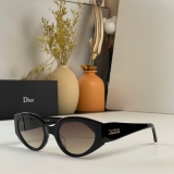 2023.7 Dior Sunglasses Original quality-QQ (99)