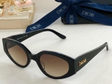2023.7 Dior Sunglasses Original quality-QQ (447)