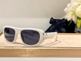 2023.7 Dior Sunglasses Original quality-QQ (511)