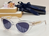 2023.7 Dior Sunglasses Original quality-QQ (486)