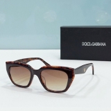 2023.7 D&G Sunglasses Original quality-QQ (258)
