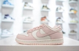 2023.9 (95% Authentic)Nike Dunk Kid Shoes -G360 (4)