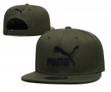 2023.9 Puma Snapbacks Hats-TX (14)