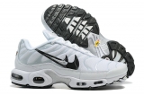 2023.10 Nike Air Max AAA TN Men Shoes-FX (109)