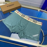 2023.11 Burberry Men underwear L-3XL (1)