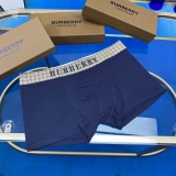 2023.11 Burberry Men underwear L-3XL (11)