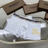 2023.11 Burberry Men underwear L-2XL (45)