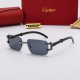 2023.11 Cartier Sunglasses AAA quality-MD (251)