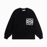 2023.11 Loewe sweater man S-XL (78)