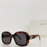 2023.12 Celine Sunglasses Original quality-QQ (497)