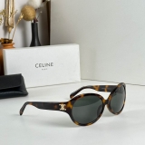 2023.12 Celine Sunglasses Original quality-QQ (526)
