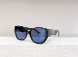 2023.12 D&G Sunglasses Original quality-QQ (749)