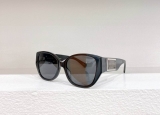 2023.12 D&G Sunglasses Original quality-QQ (748)