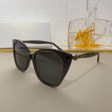 2023.12 Jimmy Choo Sunglasses Original quality-QQ (51)