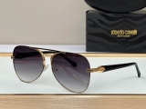 2023.12 Roberto cavalli Sunglasses Original quality-QQ (29)