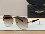 2023.12 Roberto cavalli Sunglasses Original quality-QQ (34)
