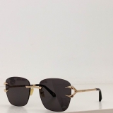2023.12 Roberto cavalli Sunglasses Original quality-QQ (41)