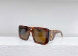 2023.12 YSL Sunglasses Original quality-QQ (691)