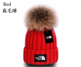 2024.3 The North Face Beanies-GC (11)
