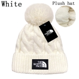 2024.3 The North Face Beanies-GC (13)