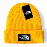 2024.3 The North Face Beanies-GC (35)