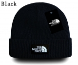 2024.3 The North Face Beanies-GC (42)