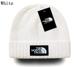 2024.3 The North Face Beanies-GC (40)