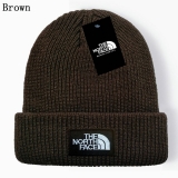 2024.3 The North Face Beanies-GC (27)