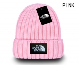 2024.3 The North Face Beanies-GC (22)