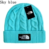 2024.3 The North Face Beanies-GC (45)
