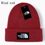 2024.3 The North Face Beanies-GC (31)