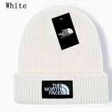 2024.3 The North Face Beanies-GC (34)
