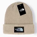 2024.3 The North Face Beanies-GC (39)