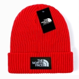 2024.3 The North Face Beanies-GC (38)