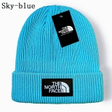 2024.3 The North Face Beanies-GC (36)