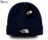 2024.3 The North Face Beanies-GC (41)