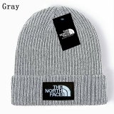 2024.3 The North Face Beanies-GC (28)