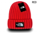 2024.3 The North Face Beanies-GC (24)