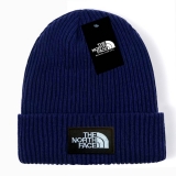 2024.3 The North Face Beanies-GC (37)