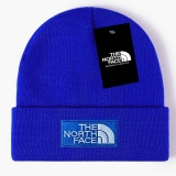 2024.3 The North Face Beanies-GC (72)