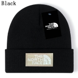 2024.3 The North Face Beanies-GC (78)