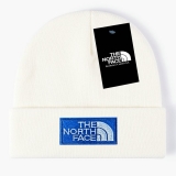 2024.3 The North Face Beanies-GC (75)