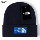 2024.3 The North Face Beanies-GC (73)