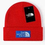 2024.3 The North Face Beanies-GC (74)