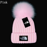 2024.3 The North Face Beanies-GC (95)