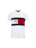 2024.1 Tommy Polo T-shirt man M-2XL (51)